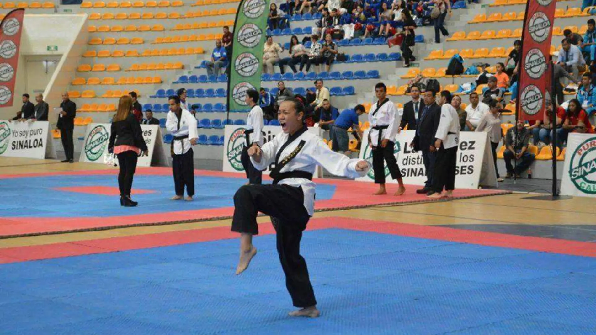 Poomsae - Codeson